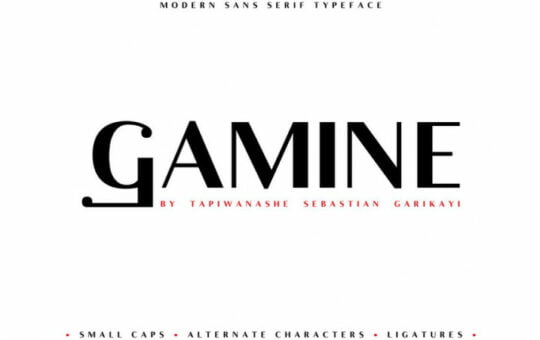 Gamine-Typeface.jpg
