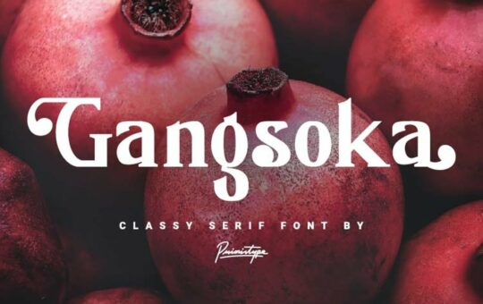 Gangsoka-Classy-Serif-Font.jpg