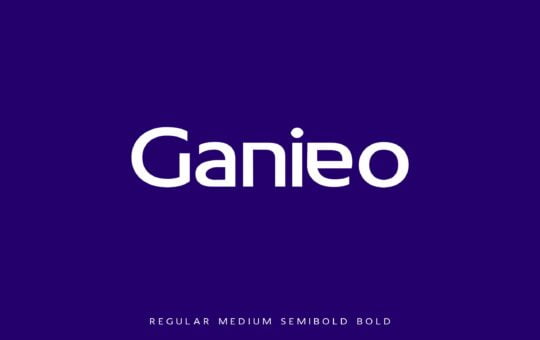Ganieo-Bold-Sans-Serif-Font-1-scaled.jpg