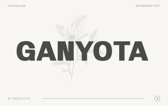 Ganyota-Sans-Serif-Font-Family-1.jpg