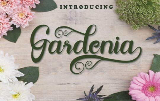 Gardenia-Lovely-Calligraphy-Script-Font-1.jpg