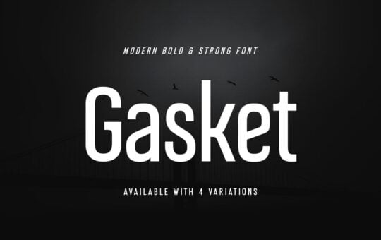 Gasket-Modern-Sans-Serif-Font-1.jpg