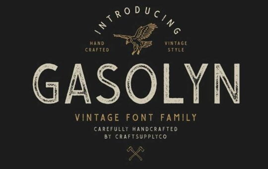 Gasolyn-Font-Family-1.jpg