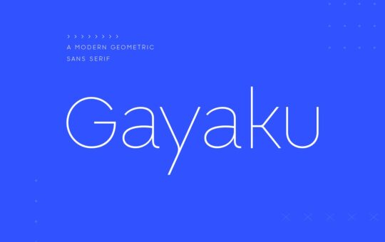 Gayaku-Modern-Sans-Serif-Font-1.jpg