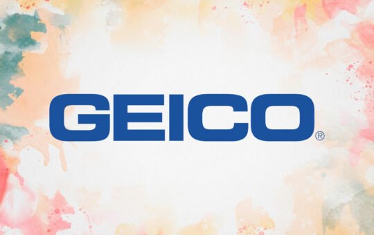 Geico-Sans-Serif-Font-1.jpg
