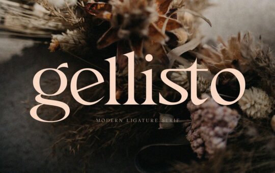 Gellisto-Modern-Serif-Font-1.jpg