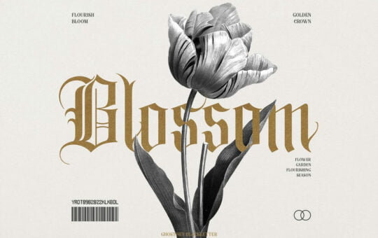 Ghosthey-Blackletter-Font-1.jpg
