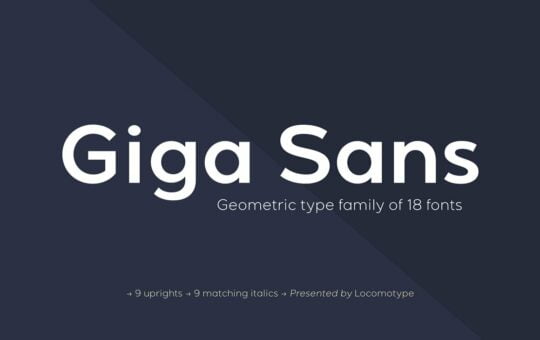 Giga-Sans-Serif-Font-Family-1.jpg