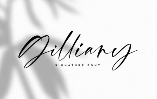 Gilliany-Signature-Script-Font.jpg