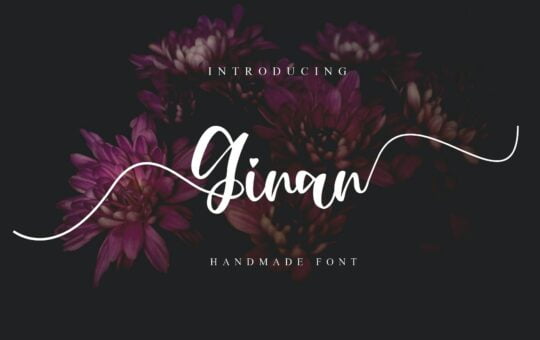 Ginan-Font.jpg
