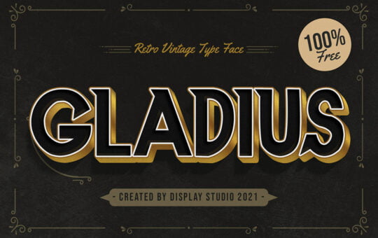 Gladius-Display-Sans-Font-1.jpg