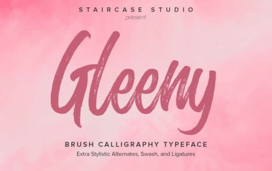 Glenny-Brush-Font-1.jpg