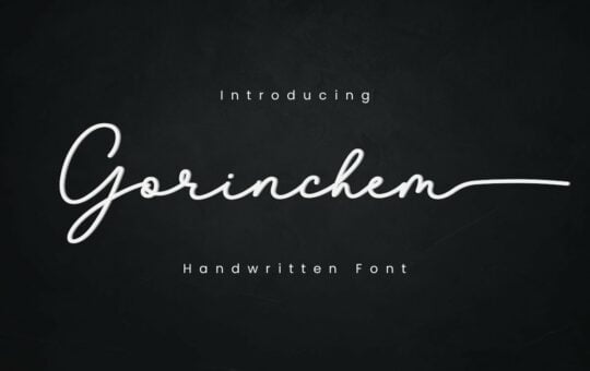 Gorinchem-Handwritten-Signature-Font.jpg