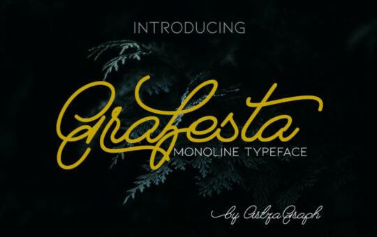 Grafesta-Monoline-Script-Font-1.jpg