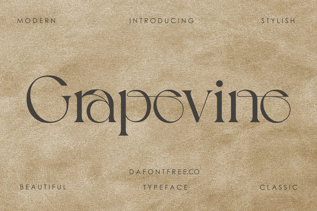 Grapevine-Modern-Serif-Font-1.jpg