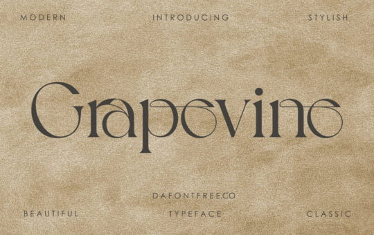 Grapevine-Modern-Serif-Font-1.jpg