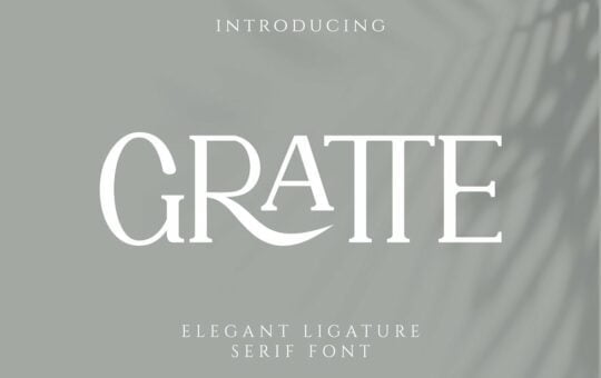 Gratte-Ligature-Serif-Font-1.jpg