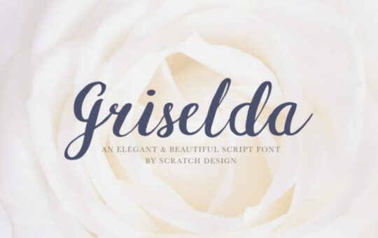 Griselda-Brush-Font.jpg