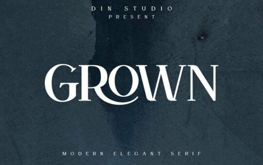 Grown-Elegant-Serif-Font-1.jpg