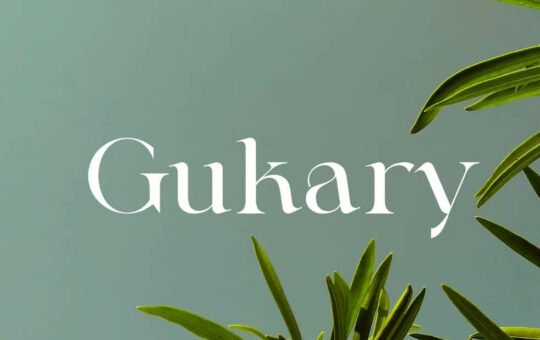 Gukary-Modern-Serif-Font-1.jpg