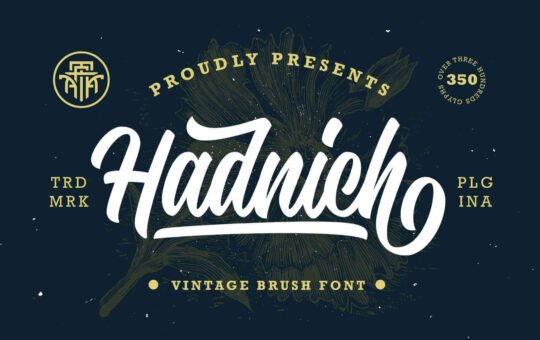 Hadnich-Script-Font-1.jpg