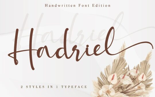 Hadriel-Handwritten-Script-Font-1.jpg