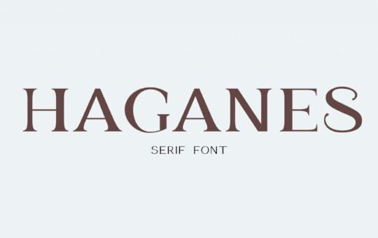 Haganes-Modern-Serif-Font-1-scaled.jpg