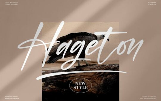 Hageton-Font.jpg