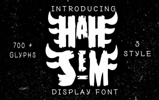 Hah-Sem-Display-Font.jpg