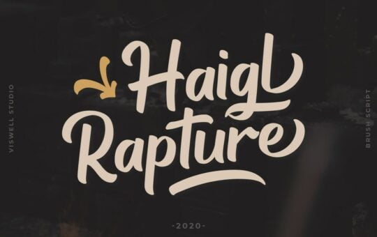 Haigl-Rapture-Bold-Script-Font-1.jpg