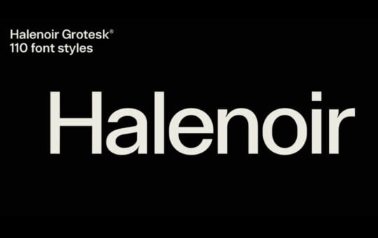 Halenoir-Bold-Sans-Serif-Font-1.jpg