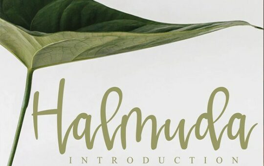 Halmuda-Script-Font-1.jpg