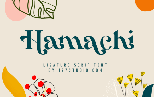 Hamachi-Ligature-Serif-Font-1.png