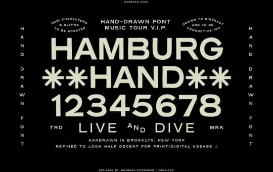 Hamburg-Hand-Display-Font-Family-1.jpg