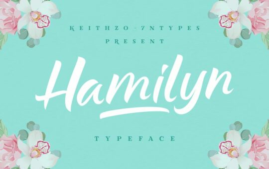 Hamilyn-Font.jpg