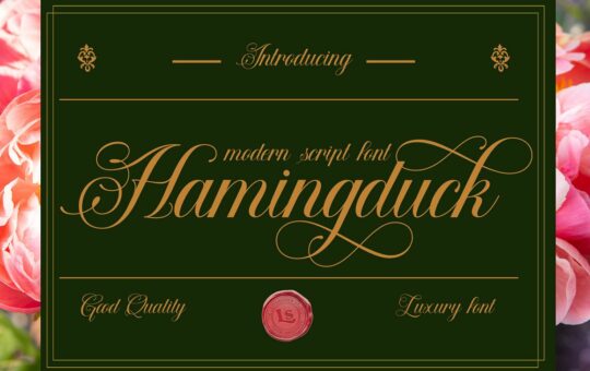 Hamingduck-Modern-Script-Font-1.jpg