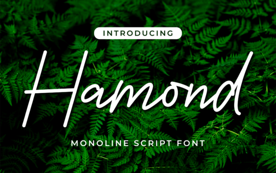 Hamond-Monoline-Script-Font-1.png