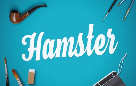 Hamster-Script-Font-1.jpg