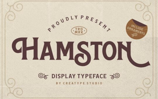 Hamston-Display-Typeface-1.jpg