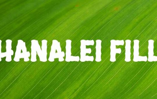 Hanalei-Fill.jpg