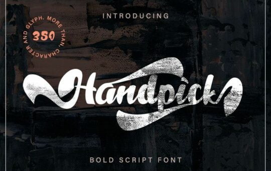 Handpick-Bold-Script-Font.jpg