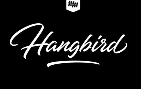 Hangbird-Brush-Script-Font-1.jpg