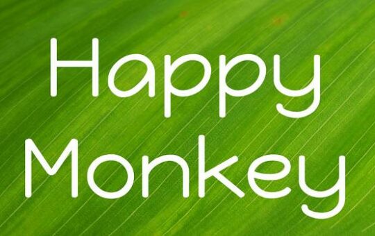 Happy-Monkey.jpg