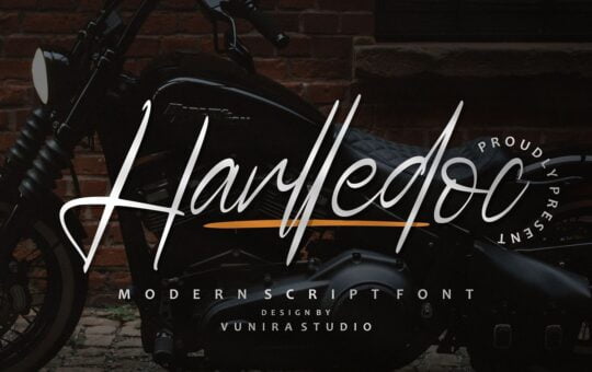 Harlledoc-Handwritten-Script-Font-1.jpg