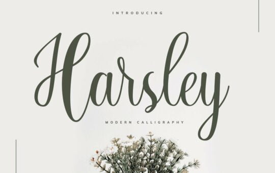 Harsley-Calligraphy-Script-Font.jpg