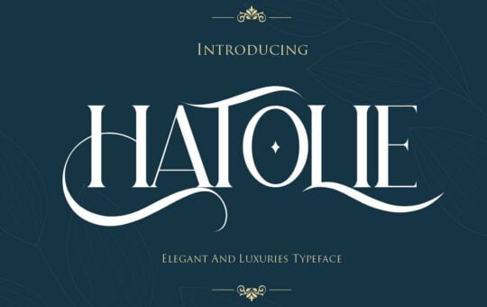 Hatolie-Display-Serif-Typeface-1.jpg