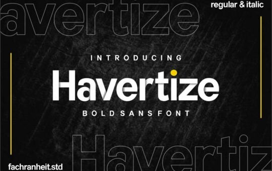 Havertize-Bold-Sans-Serif-Font.jpg