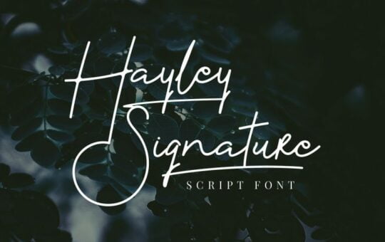 Hayley-Signature-Font.jpg