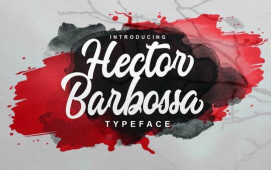 Hector-Barbossa-Script-Font.jpg