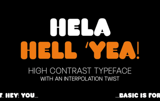 Hela-Dysplay-Font-Family.png